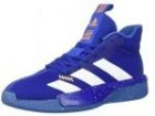 Adidas Pro Next 2019