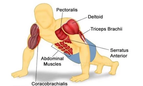 Push ups 